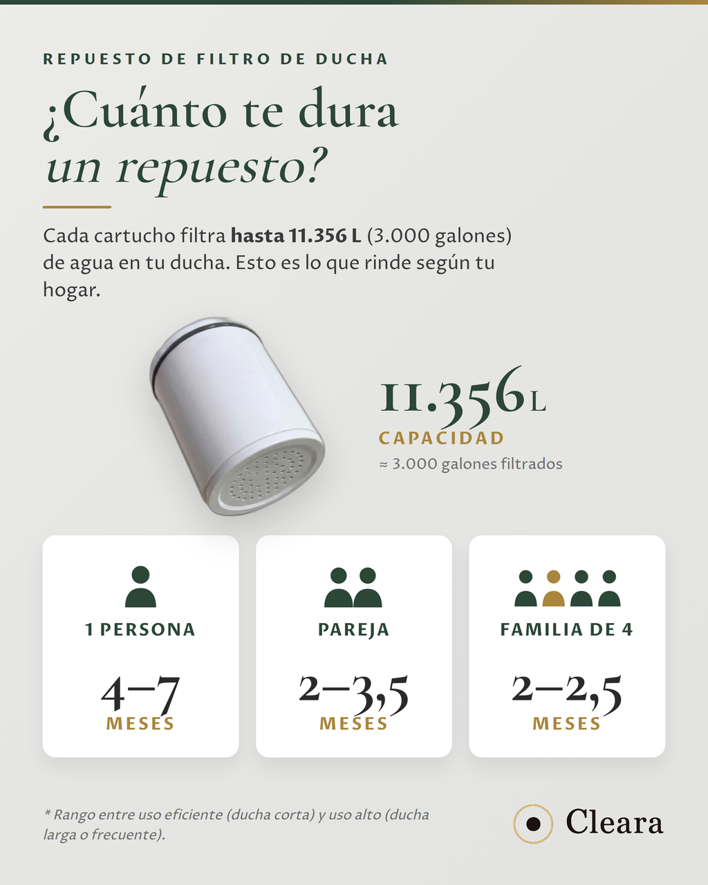 Filtro de Repuesto para Cabezal de Ducha